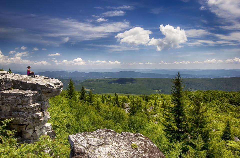 Dolly Sods Wilderness - West Virginia