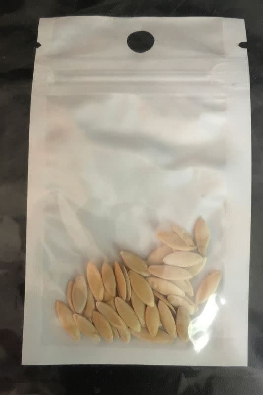 Unsolicited seeds that arrived in the mail, reported by a U.S. citizen to the U.S. Department of Agriculture's Animal and Plant Health Inspection Service