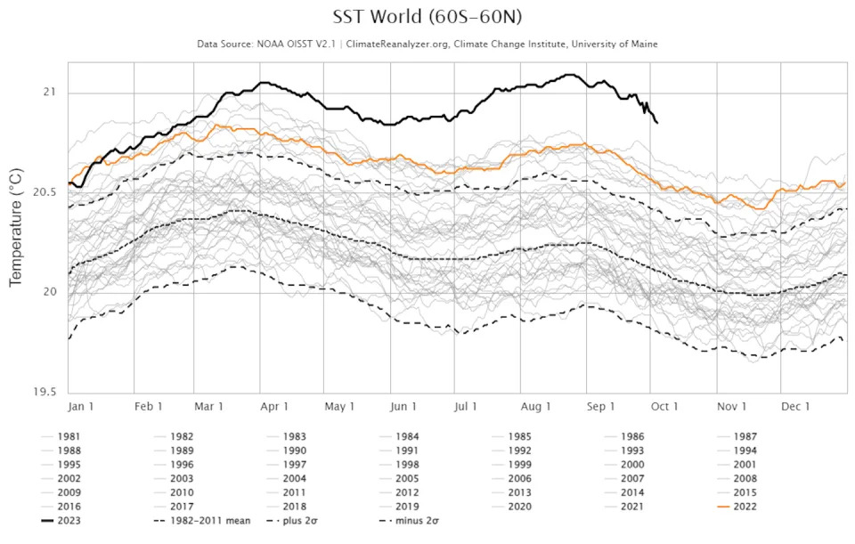 Sea surface temperatures in 2023 (bold black line) have been far above any temperature seen since satellite records began in the 1970s. <a href=