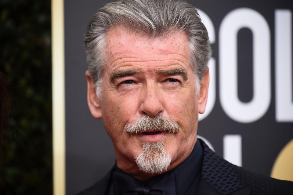 Pierce Brosnan (Rex Features)