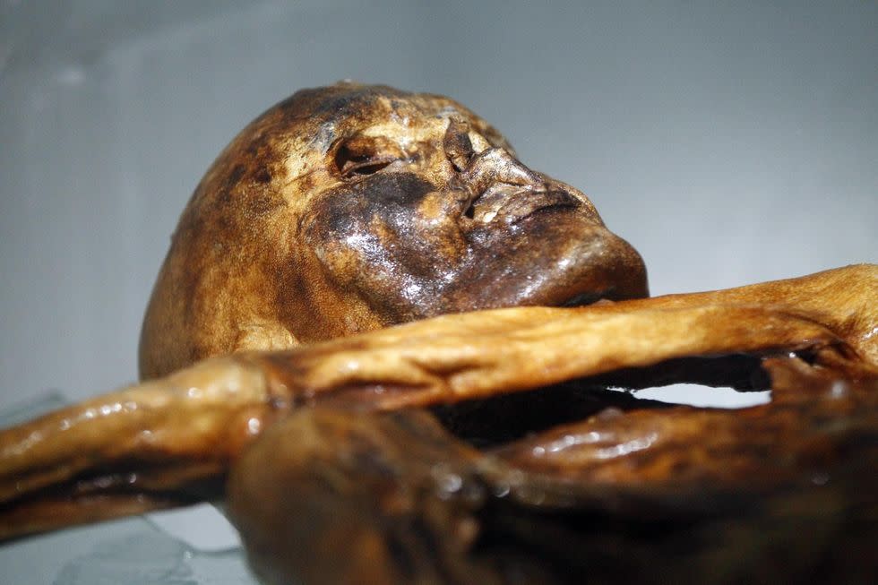 La momie Otzi au musée archélogique de Bolzano, en Italie.