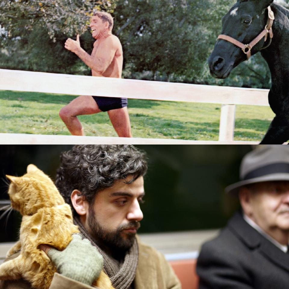 "The Swimmer" (Top); "Inside Llewyn Davis" (Bottom)