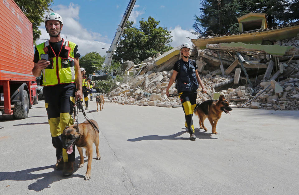 <p>Rescuers walk with dogs following an earthquake in Amatrice, central Italy August 24, 2016. (Ciro De Luca/Reuters)</p>