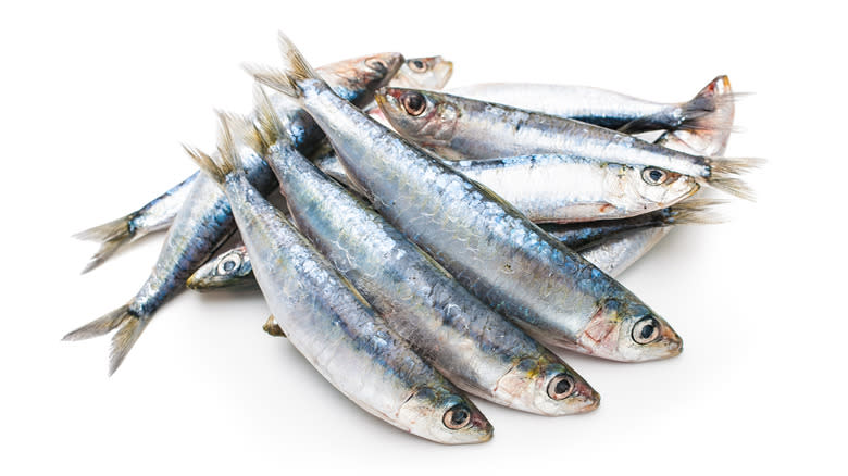 fresh sardines