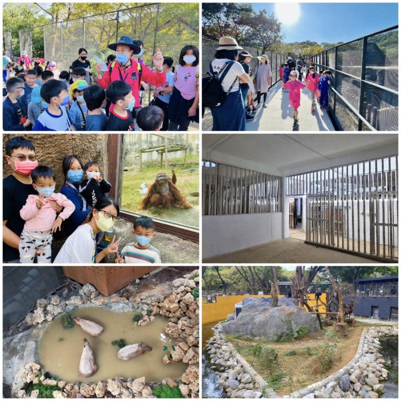 友善動物區內舍大升級　壽山動物園拜訪動物品質優