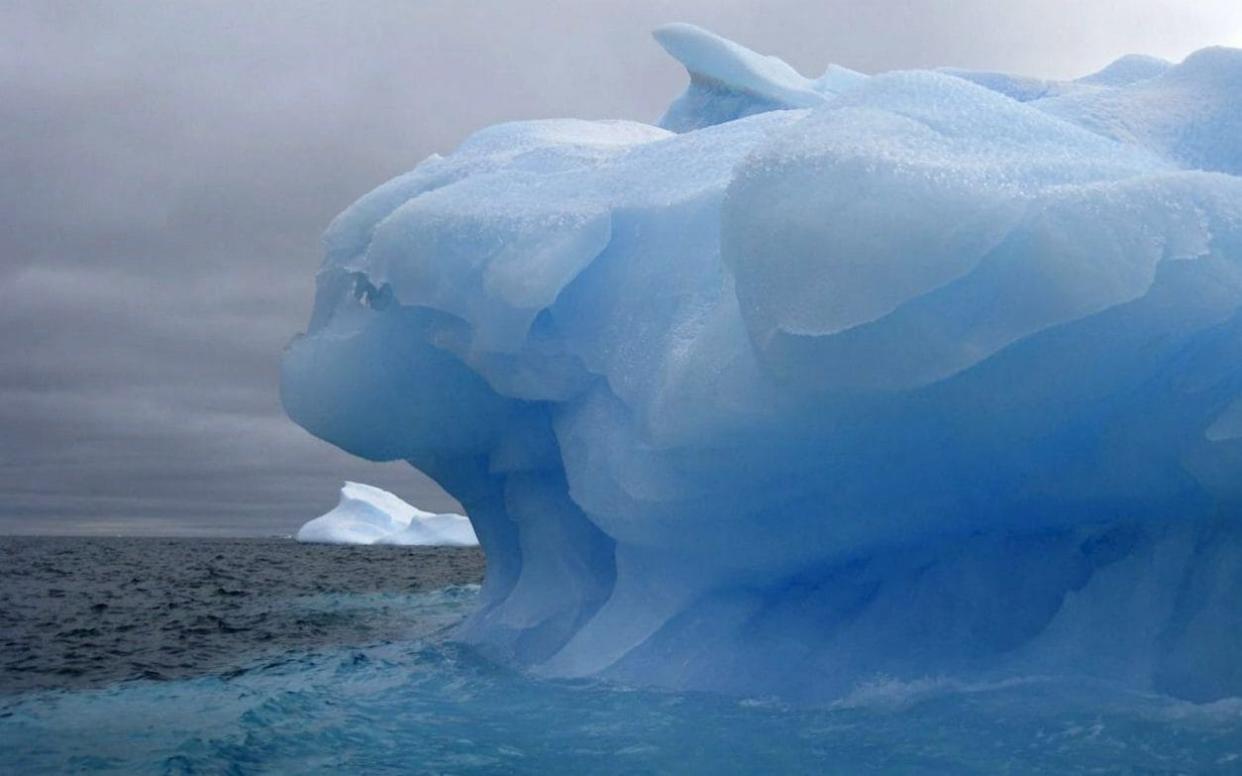 An iceberg, some way smaller than A-76, afloat in the Weddell Sea - EPA