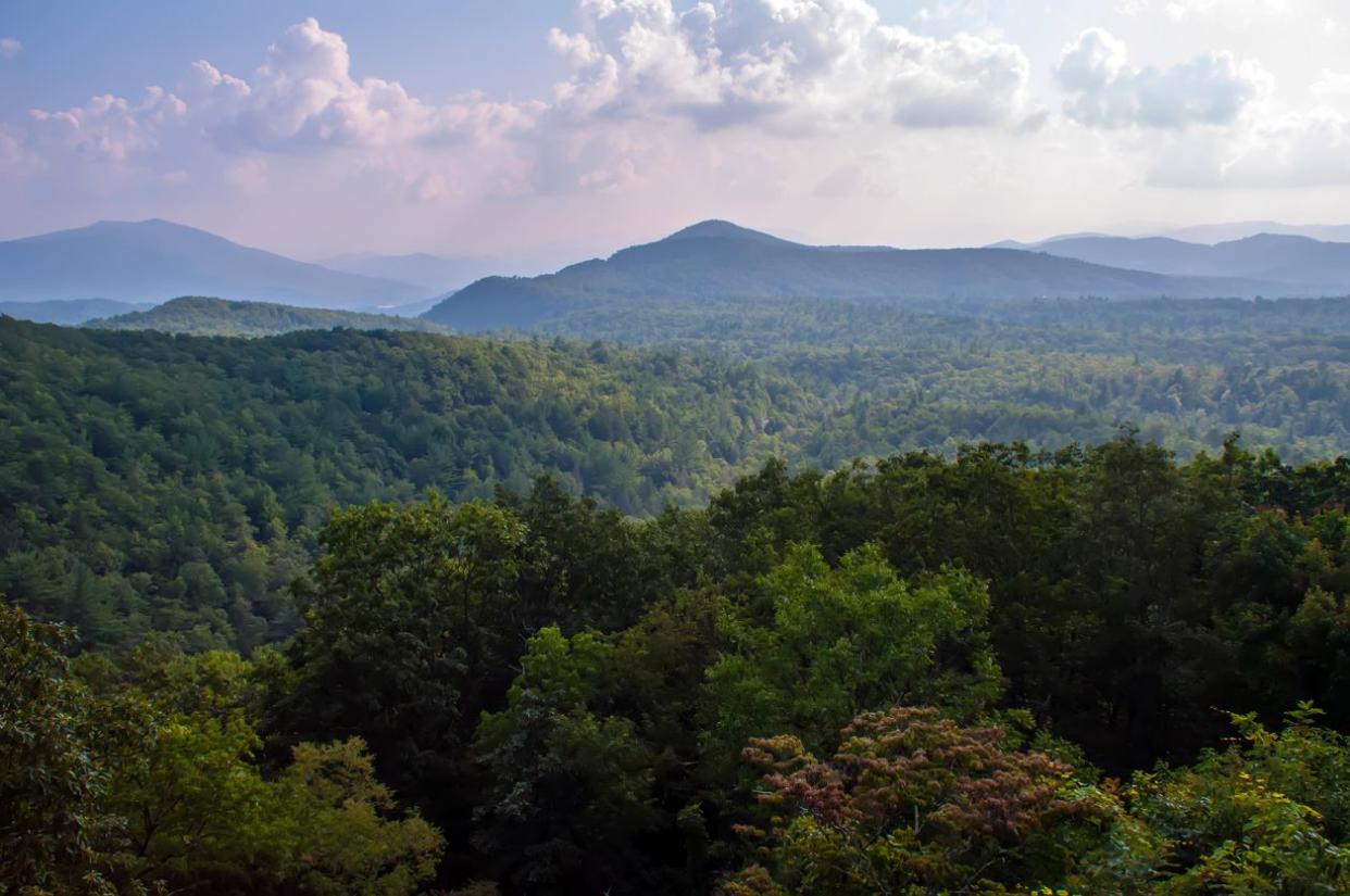 Mount Mitchell 