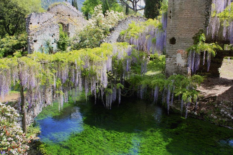 Gardens of Ninfa