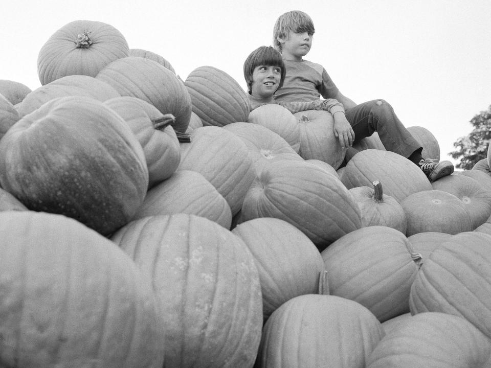 halloween vintage pumpkins