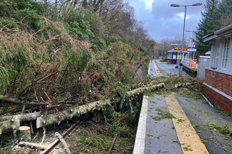A fallen tree on the line at Arrochar & Tarbet (Network Rail Scotland) (PA Media)