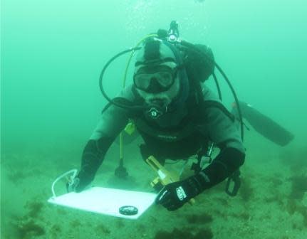 March 29, 2013. Dive Safety Officer Gerry Smith surveys the bottom of Cat Harbor Catalina as part of the permitting process for a new USC aquaculture facility for growing oysters. Photo by the author.