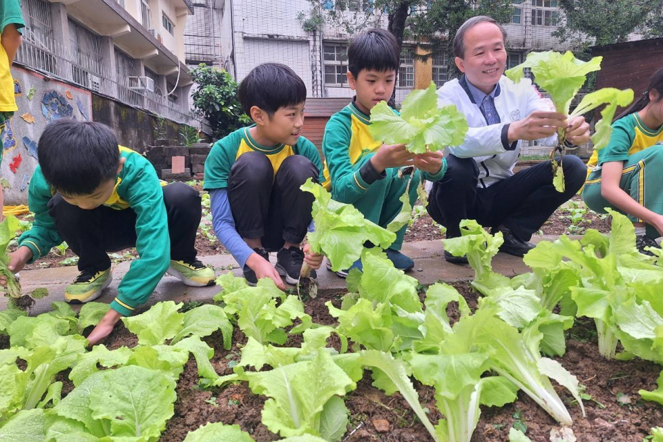 桃園市石門國小活化環境空間，校內闢有一區菜圃提供食農課程使用