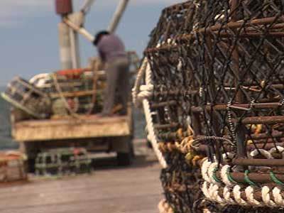 <p>Seismic tests put fishing jobs at risk, industry warns</p>