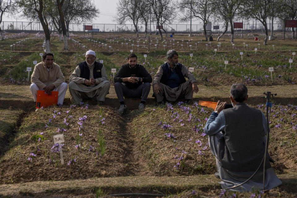 Kashmiri saffron farmers sit and relax after a meeting with officials inside the compound of Advance Research Station For Saffron & Seed Spices in Dussu south of Srinagar, Indian controlled Kashmir, on Oct. 29, 2022. As climate change impacts the production of prized saffron in Indian-controlled Kashmir, scientists are shifting to a largely new technique for growing one of the world’s most expensive spices in the Himalayan region: indoor cultivation. Results in laboratory settings have been promising, experts say, and the method has been shared with over a dozen traditional growers. (AP Photo/Dar Yasin)