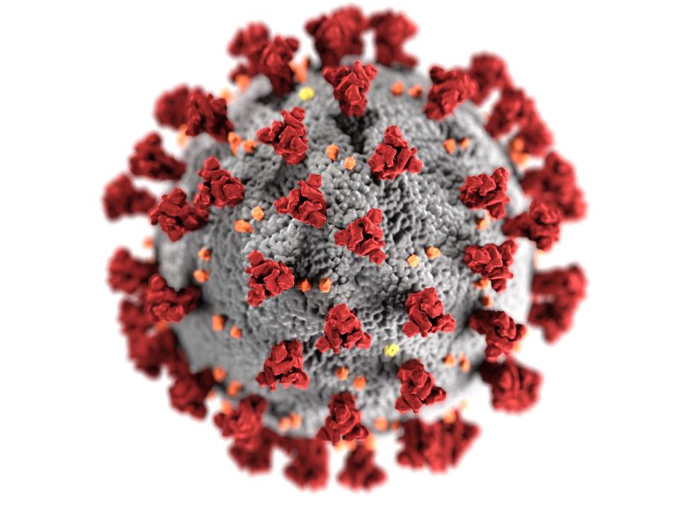 coronavirus molecules