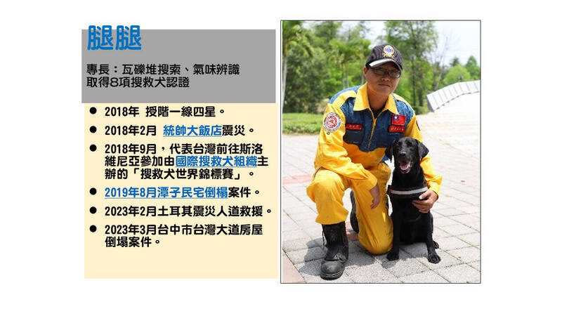 搜救犬「腿腿」也曾參與國內外大大小小搜救任務，官階達一線四星。（圖／翻攝畫面）