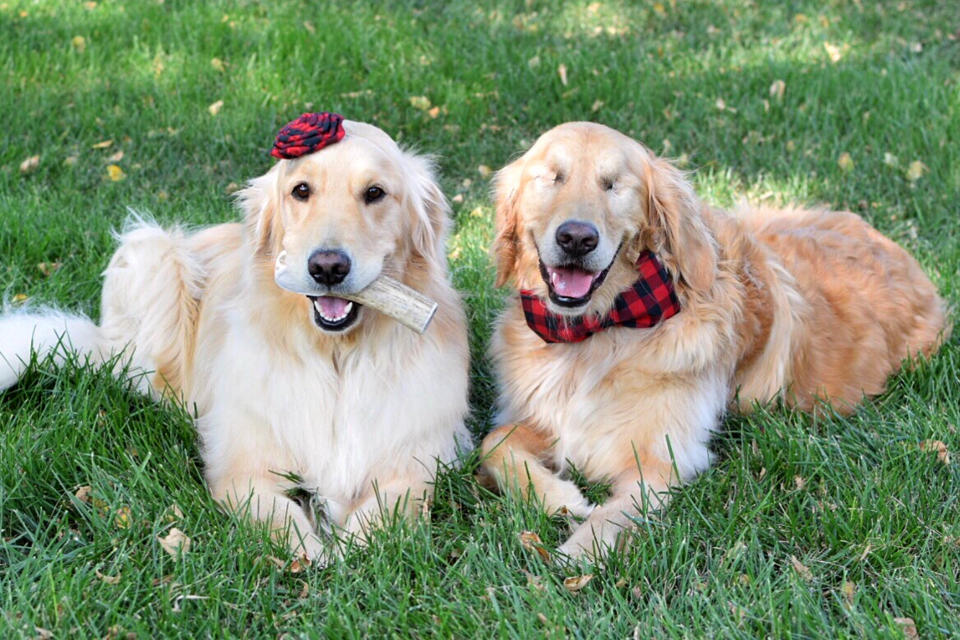 Addie, left, and Jake are best friends (Picture: Caters)