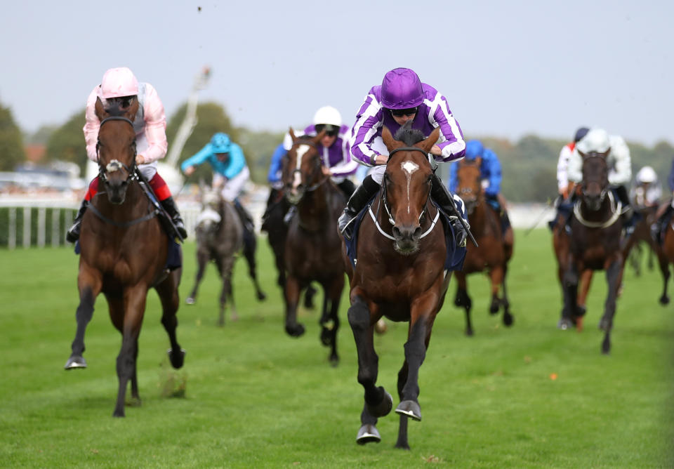 Kew Gardens and Ryan Moore power to victory in the St Leger