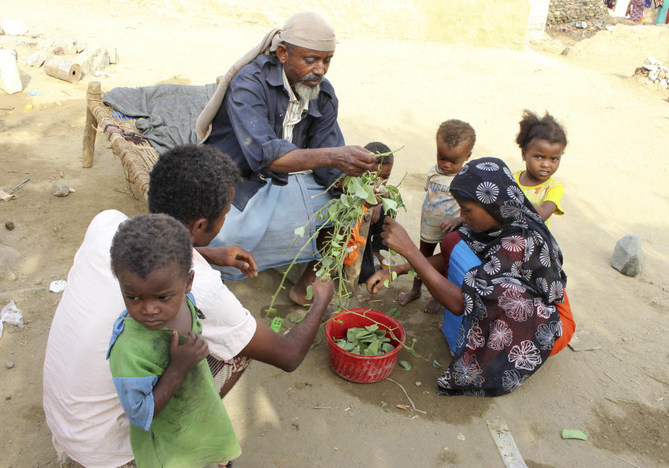 In this Aug. 25, 2018 photo, a man feeds children Halas, a climbing vine of green leaves, in Aslam, Hajjah, Yemen. Yemenis in the isolated pocket in the north have been reduced to eating boiled leaves from a local vine to stave off starvation, with no aid reaching many families who need it most. The situation in Aslam district is a sign of the holes in an international aid system that is already overwhelmed but is the only thing standing between Yemen’s people and massive death from starvation amid the country’s 3-year civil war. (AP Photo/Hammadi Issa)