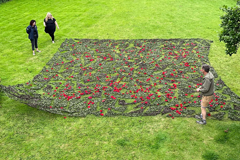 Around 300 poppies on one of the six nets