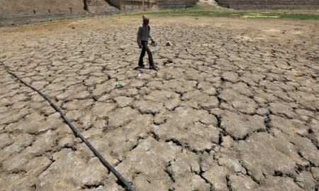 FILE PHOTO-A man walks through a dried-up Sarkhej lake on a hot summer day in Ahmedabad, India, April 21, 2016. REUTERS/Amit Dave/File Photo