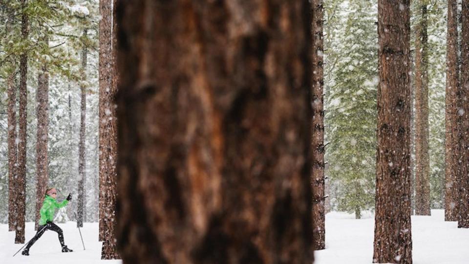 Cross country skiing in Carson Valley