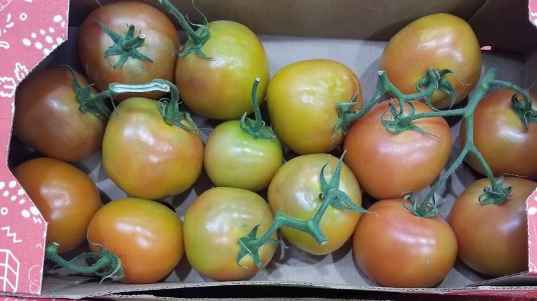 Tomatoes on the vine