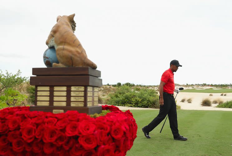 Tiger Woods on the final day of the Hero World Challenge. (Getty Images)