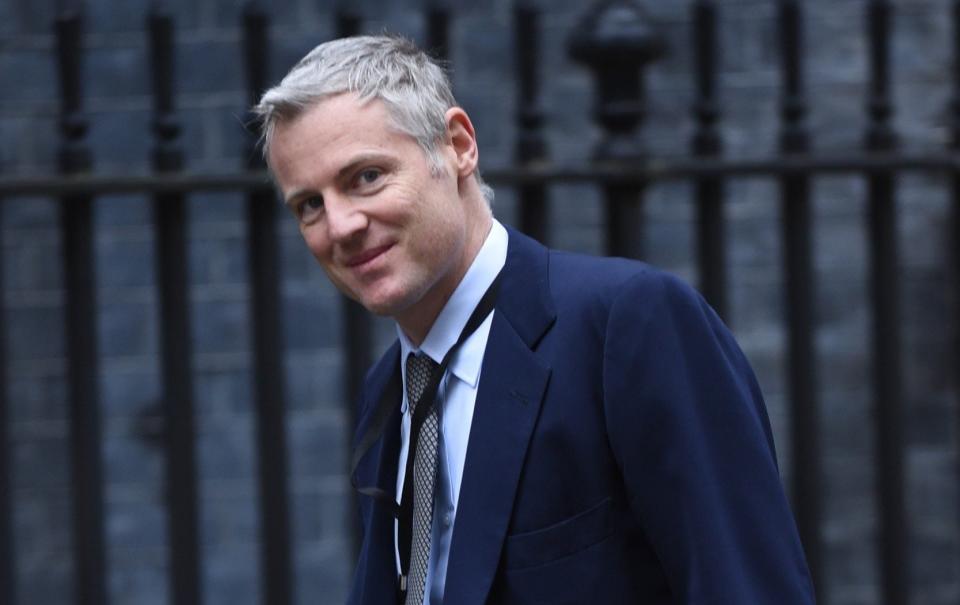 Lord Goldsmith of Richmond Park said it was ‘amazing how wrong’ the Government had been in its ‘massively pessimistic’ estimates of the cost of switching to greener technologies - Eddie Mulholland for The Telegraph