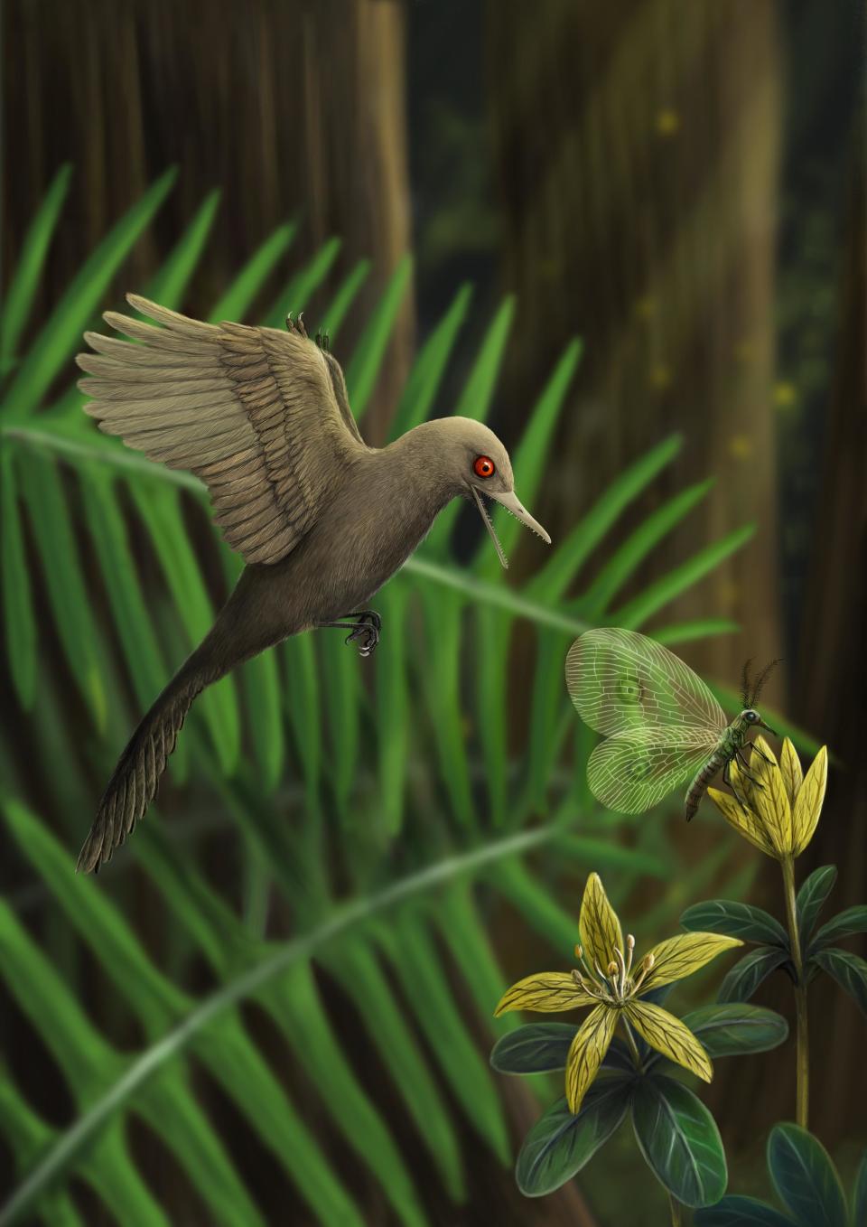 An artist's rendering of an ancient bird, imagining what it looked like preying on an insect.