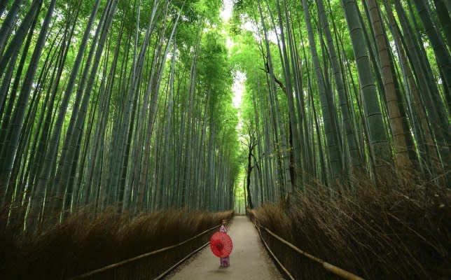 山陽山陰JR Pass