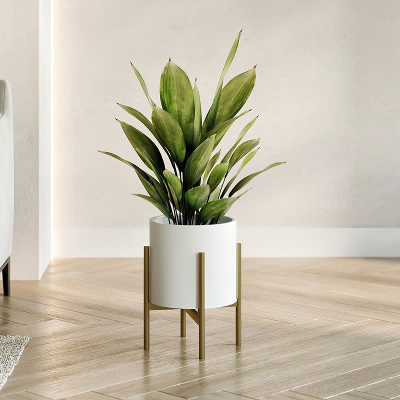 <p><a href="https://go.redirectingat.com?id=74968X1596630&url=https%3A%2F%2Fwww.wayfair.com%2F--%2Fpdp%2Faspire--raya-loki-pot-planter-ehq10163-l349-ehq10163.html&sref=https%3A%2F%2F" rel="nofollow noopener" target="_blank" data-ylk="slk:Shop Now;elm:context_link;itc:0;sec:content-canvas" class="link ">Shop Now</a></p><p>Aspire Raya Loki Pot Planter</p><p>wayfair.com</p><p>$37.46</p>