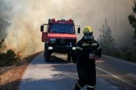 A firefighter stands next to a vehicle as a wildfire burns at the village of Kontodespoti, on the island of Evia