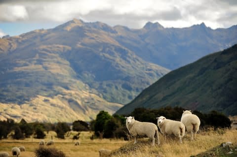 A 15-day tour of New Zealand is one of the prizes - Credit: shirophoto - Fotolia