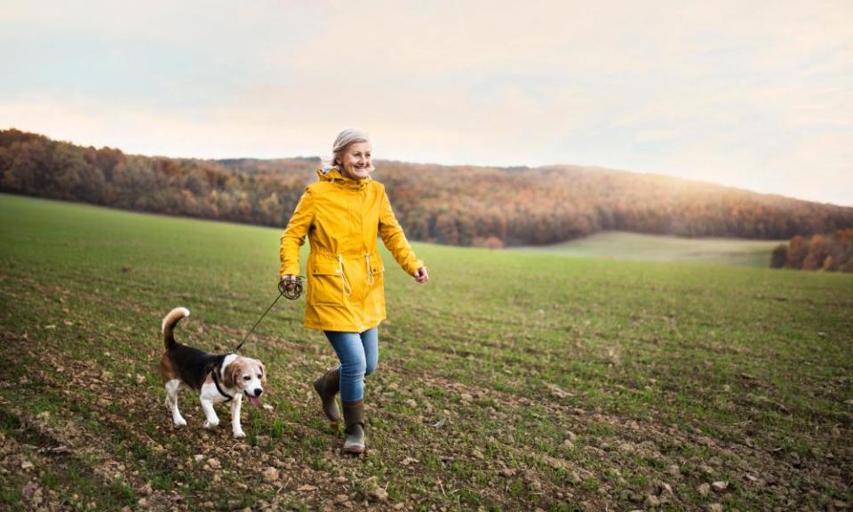 <span>Photograph: Jozef Polc/Alamy Stock Photo</span>