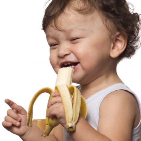 Can toddlers go Paleo?