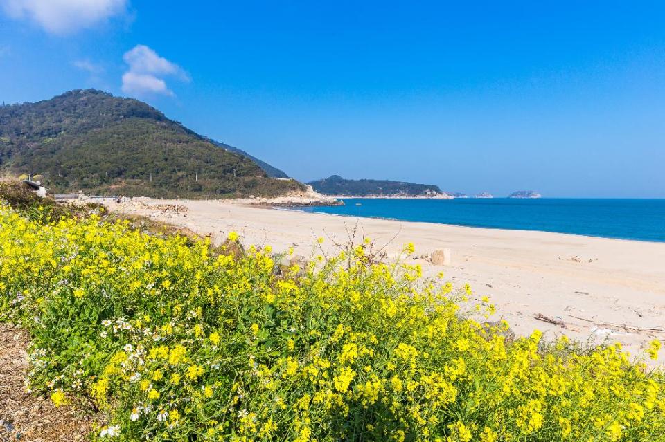 坂里被芹山、坂山、里山圍繞，在陽光下呈現白色閃耀光澤。圖：翻攝自馬祖國家風景區全球資訊網