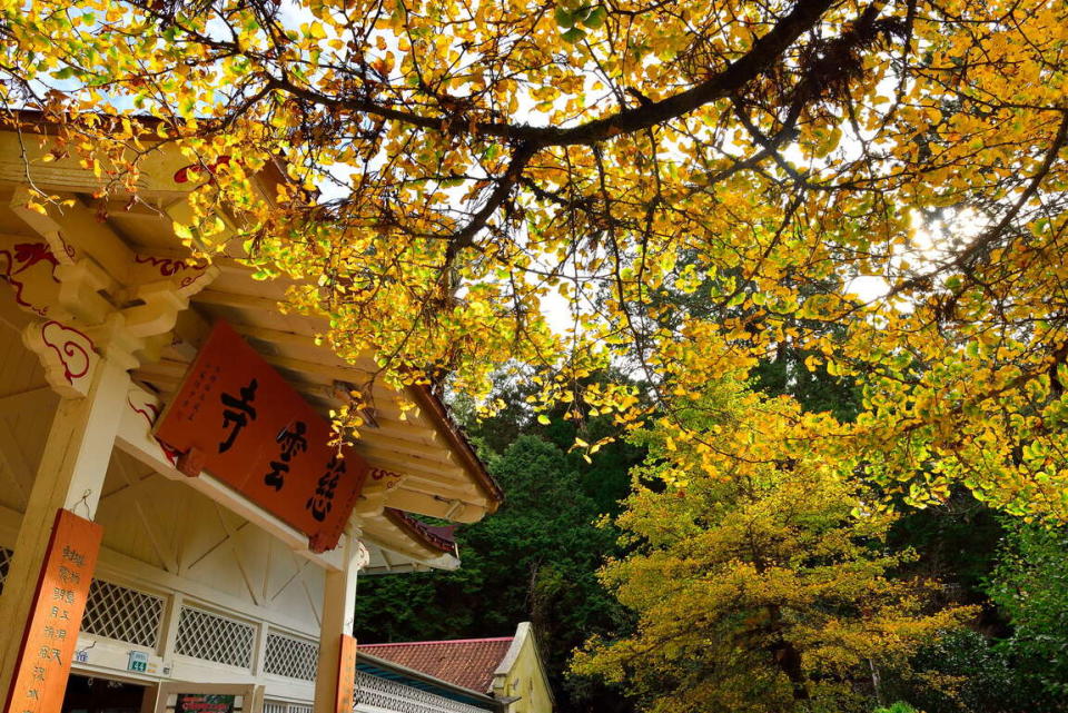 阿里山慈雲寺（圖片來源：阿里山國家風景區）