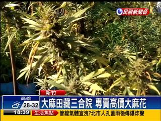 大麻田藏三合院乾燥花市價千萬