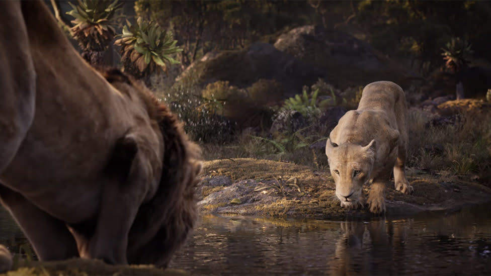 The Lion King has released Beyonce and Donald Glover's can you feel the love tonight. Photo: Disney