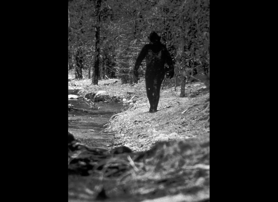 This still image taken from a 1977 film purports to show Bigfoot in California. 