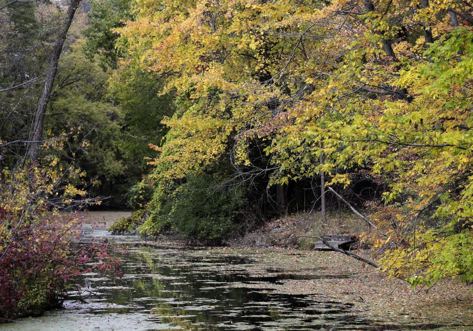 The Heckrodt Wetland Reserve in Menasha offers wildlife sighting as well as colors.