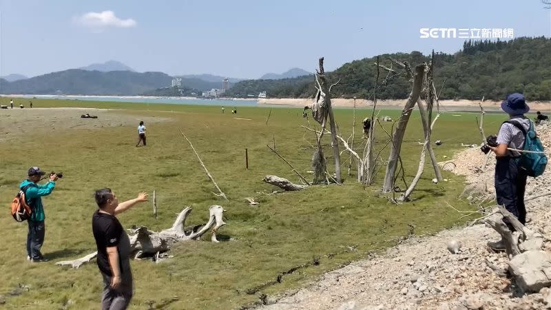 中南部水情吃緊，日月潭甚至已變成大草原奇景。