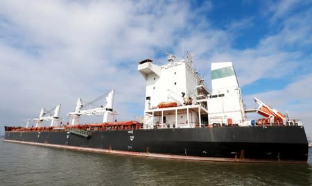 The Iranian vessel Bavand is seen near the port of Paranagua