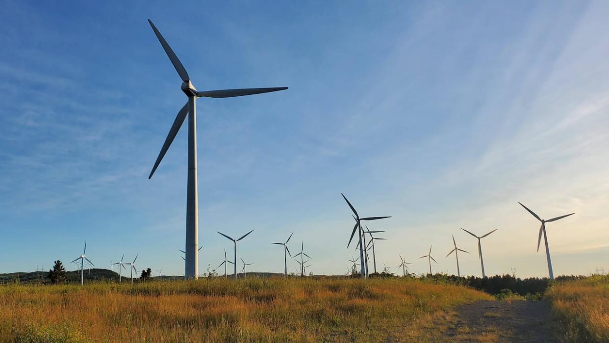 Hydro-Québec issued a call for tenders on March 31 for a total of 1,500 megawatts of electricity generated from wind power to help the province meet its long-term energy needs. (Sandra Fillion/Radio-Canada - image credit)