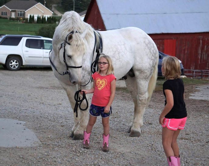 Two young girls walk up to stand next to Ben Hur de Bernaville for a photograph prior to their own horse-riding lessons at the farm where Ben was being boarded in Wisconsin in the fall of 2015. 
