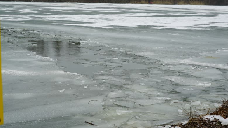 'Adrenaline takes over': German Shepherd rescued after falling through High Park pond