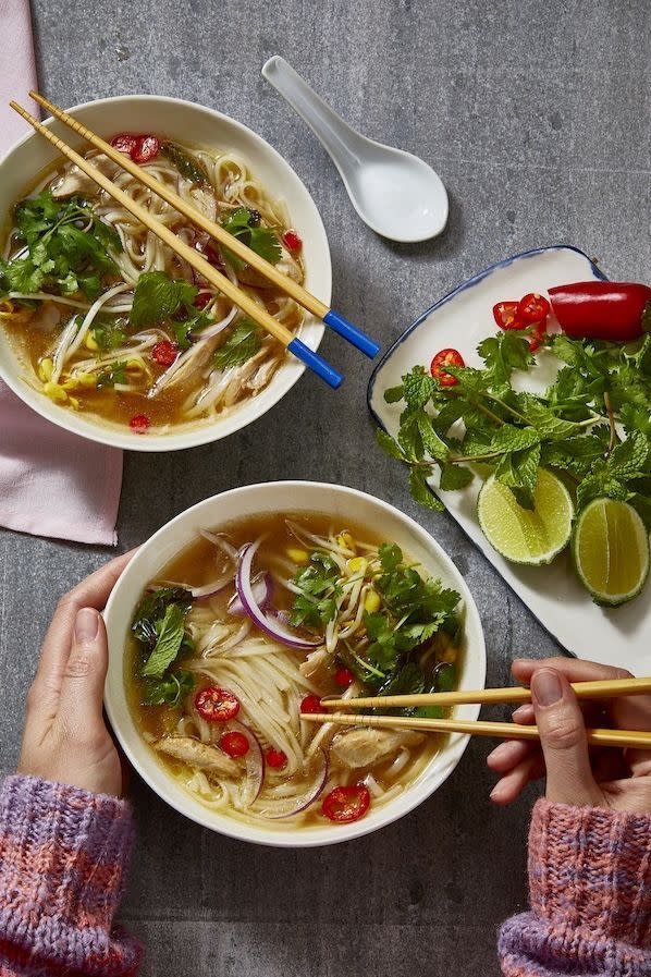 Instant Pot Pho With Chicken