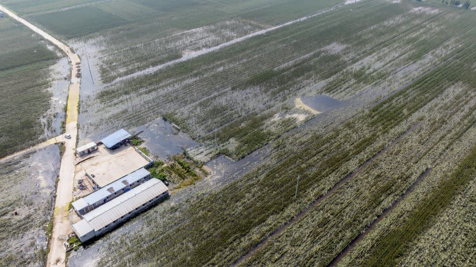 A flooded farm in Xinxiang city, Henan province on August 5. - Costfoto/NurPhoto/Getty Images