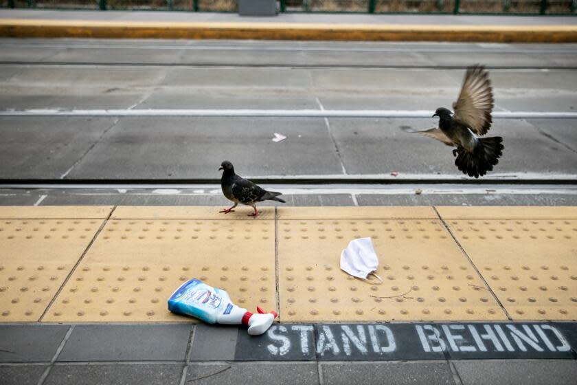 SAN DIEGO, CA - AUGUST 06: The Seaport Village Trolley Station is largely empty, save for pigeons pecking around a discarded mask and bottle of Lysol on Thursday, Aug. 6, 2020 in San Diego, CA. The transit system has undertaken a number of safety protocols to help prevent the spread of the novel coronavirus. (Sam Hodgson / The San Diego Union-Tribune)